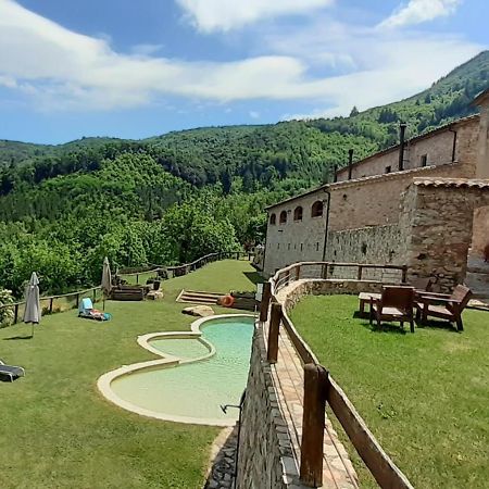 Agroturismo Mas Vilar, Feel At Home Arbúcies Eksteriør billede