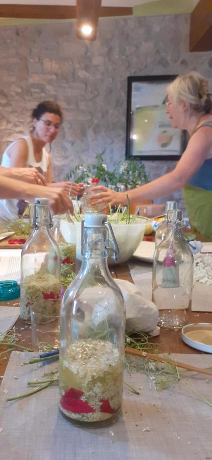 Agroturismo Mas Vilar, Feel At Home Arbúcies Eksteriør billede